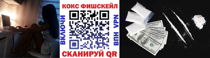 где продают наркотики  mega зеркало  COCAIN Fish Scale  Подпорожье 