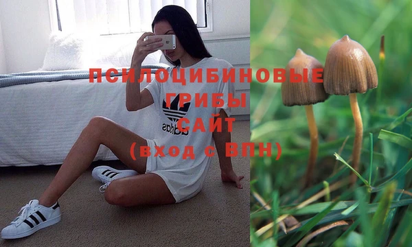 сатива Михайлов