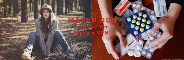 сатива Михайлов